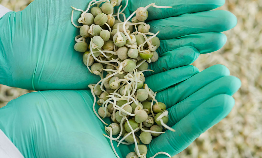 garanti trade tarım